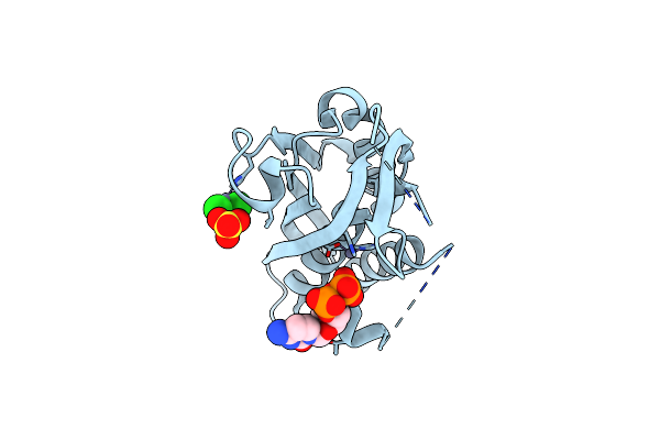 4C81 image