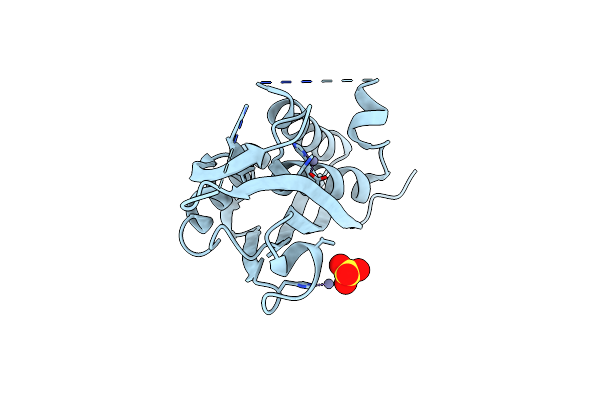 4C82 image