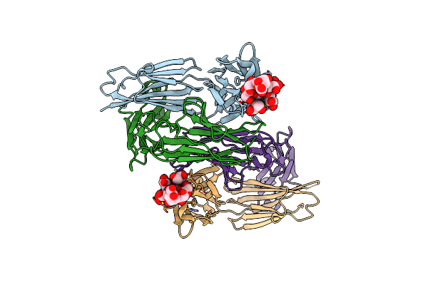 4C83 image
