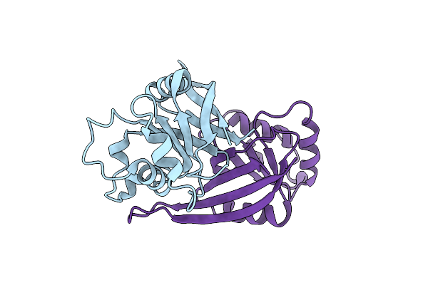 4C86 image