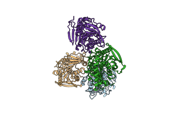 4C88 image
