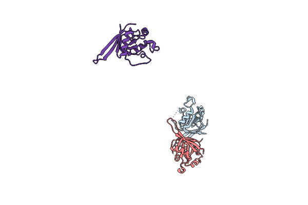 4C8A image