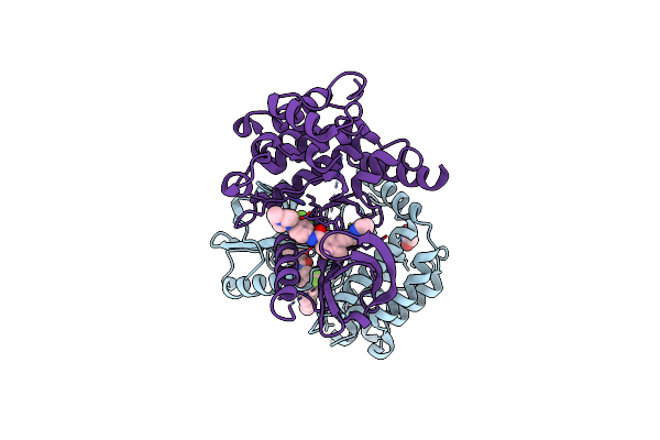 4C8B image
