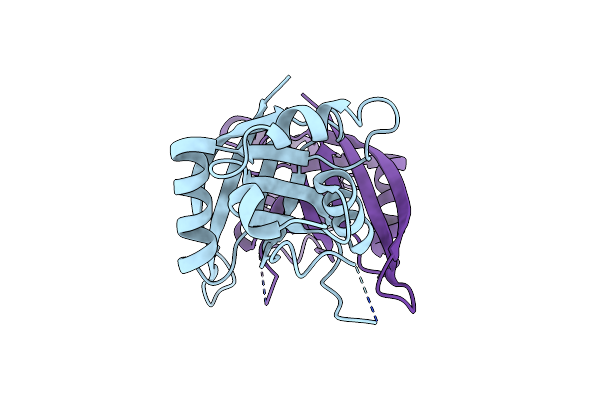 4C8C image