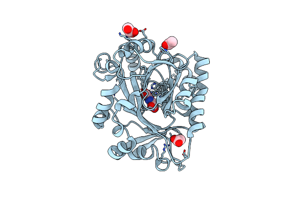 4C8D image