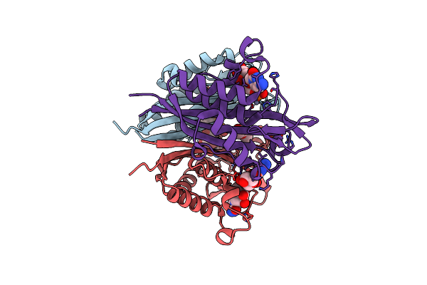 4C8E image