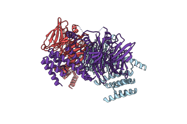 4C8H image