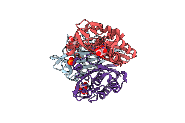 4C8I image