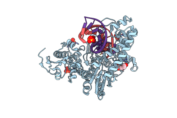 4C8N image