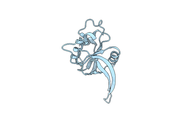 4C8P image