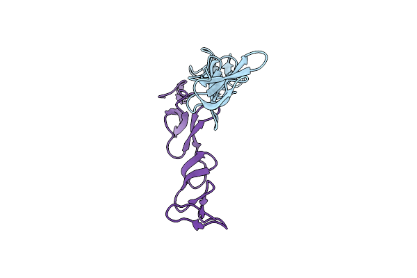 4C8W image
