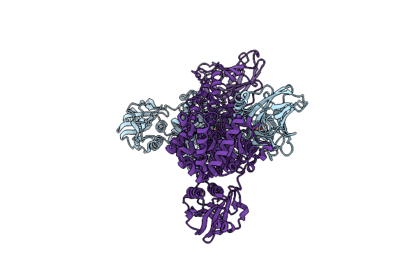 4C91 image
