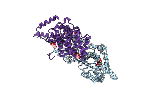 4C9B image