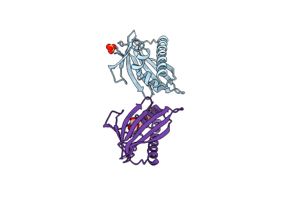 4C9C image