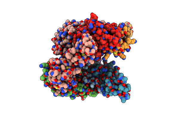4C9E image