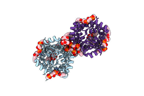 4C9H image