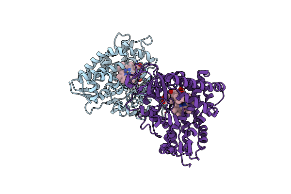 4C9N image