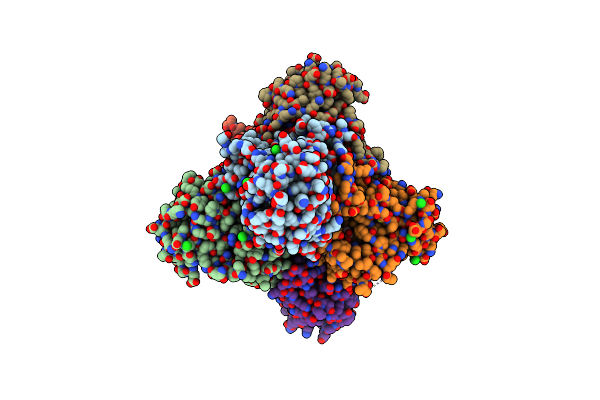 4C9T image