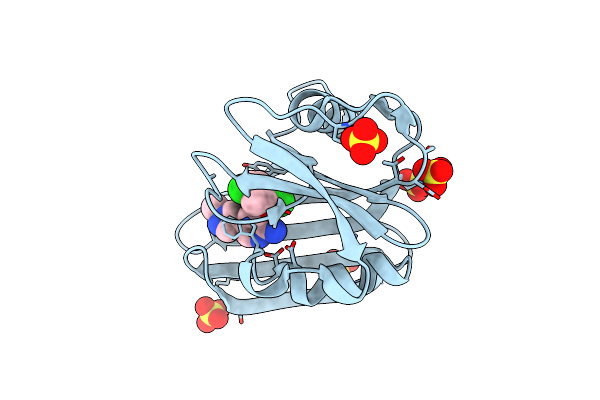 4C9W image