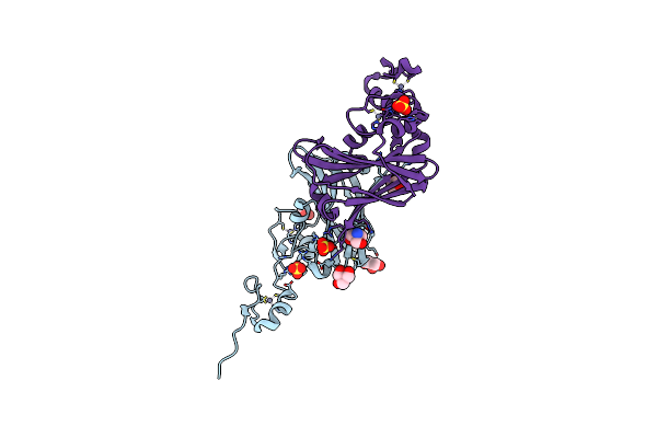 4C9Z image