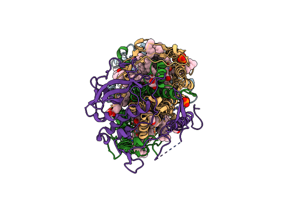 4CAS image