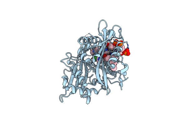 4CAX image