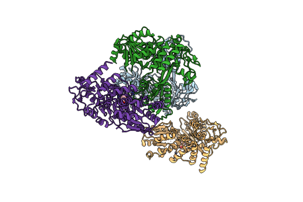 4CBG image
