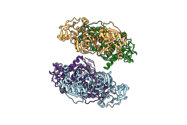 4CBH image