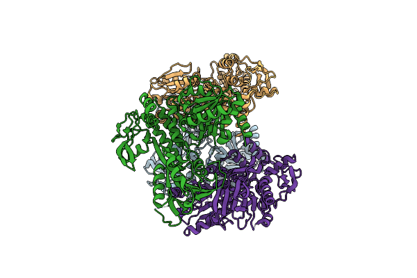 4CBL image