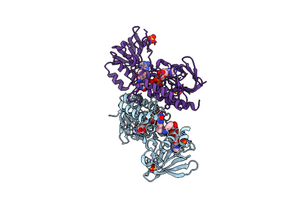 4CBQ image