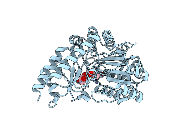 4CBR image