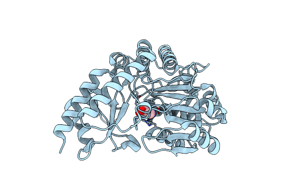 4CBS image
