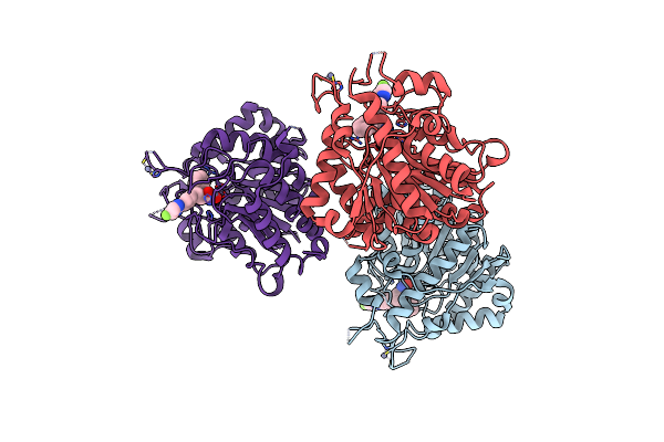 4CBT image