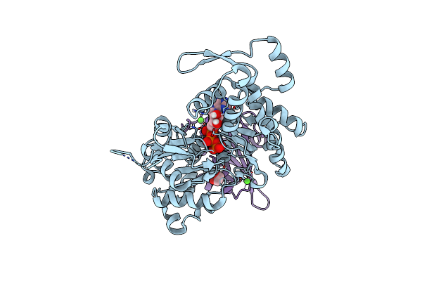 4CBW image