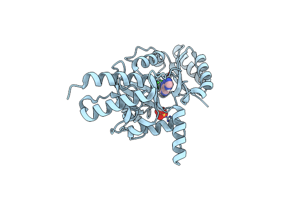 4CC5 image
