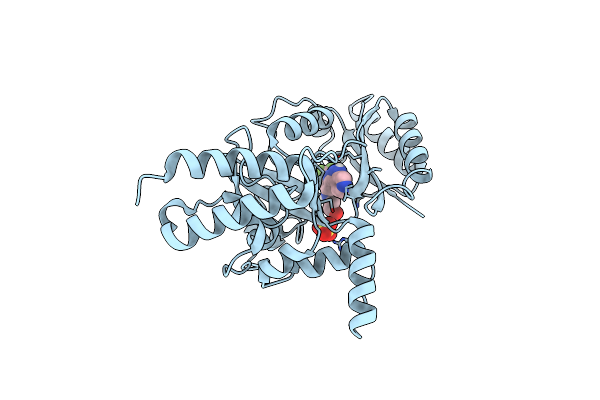 4CC6 image