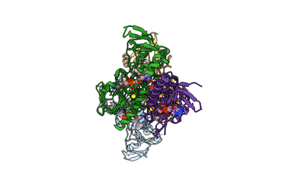 4CCR image