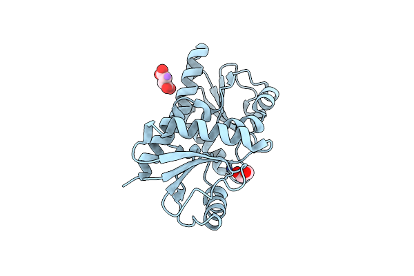 4CCS image