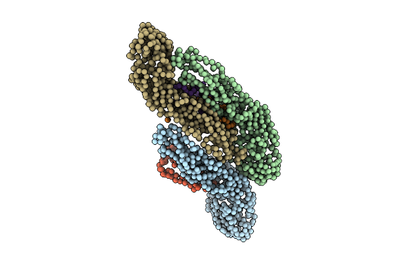 4CCT image
