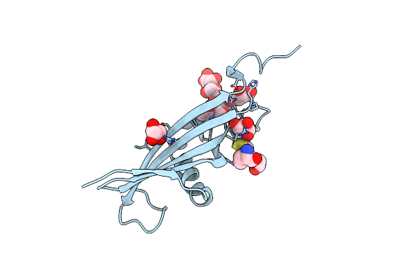 4CCV image
