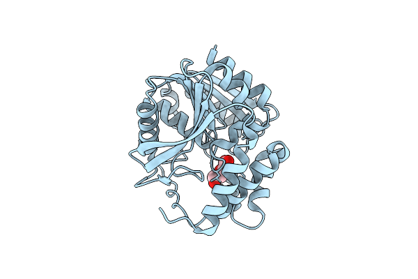 4CCW image
