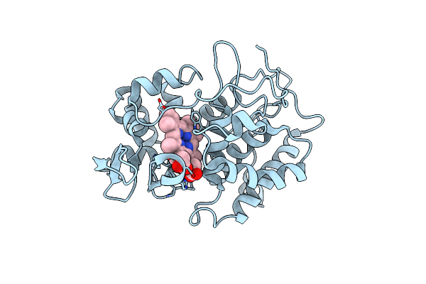 4CCX image