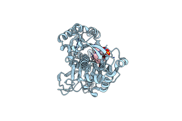 4CD1 image