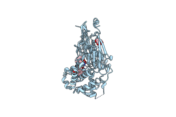 4CD3 image