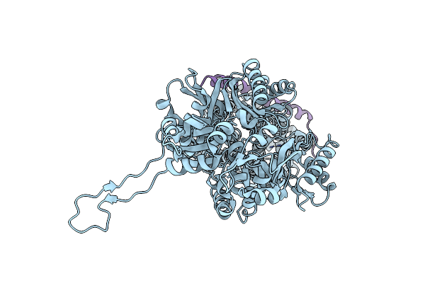 4CDI image