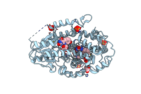 4CDM image