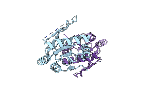 4CDO image