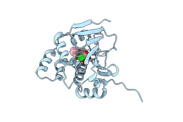 4CE2 image