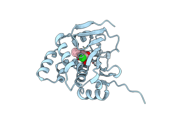 4CE3 image