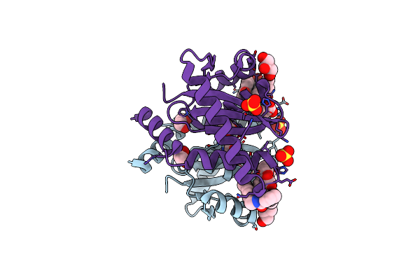 4CEB image